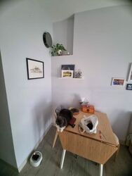 Primedge (D14), Apartment #436799371